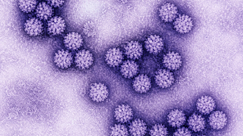 HPV: cos’è, sintomi, prevenzione e perché la diagnosi precoce è fondamentale