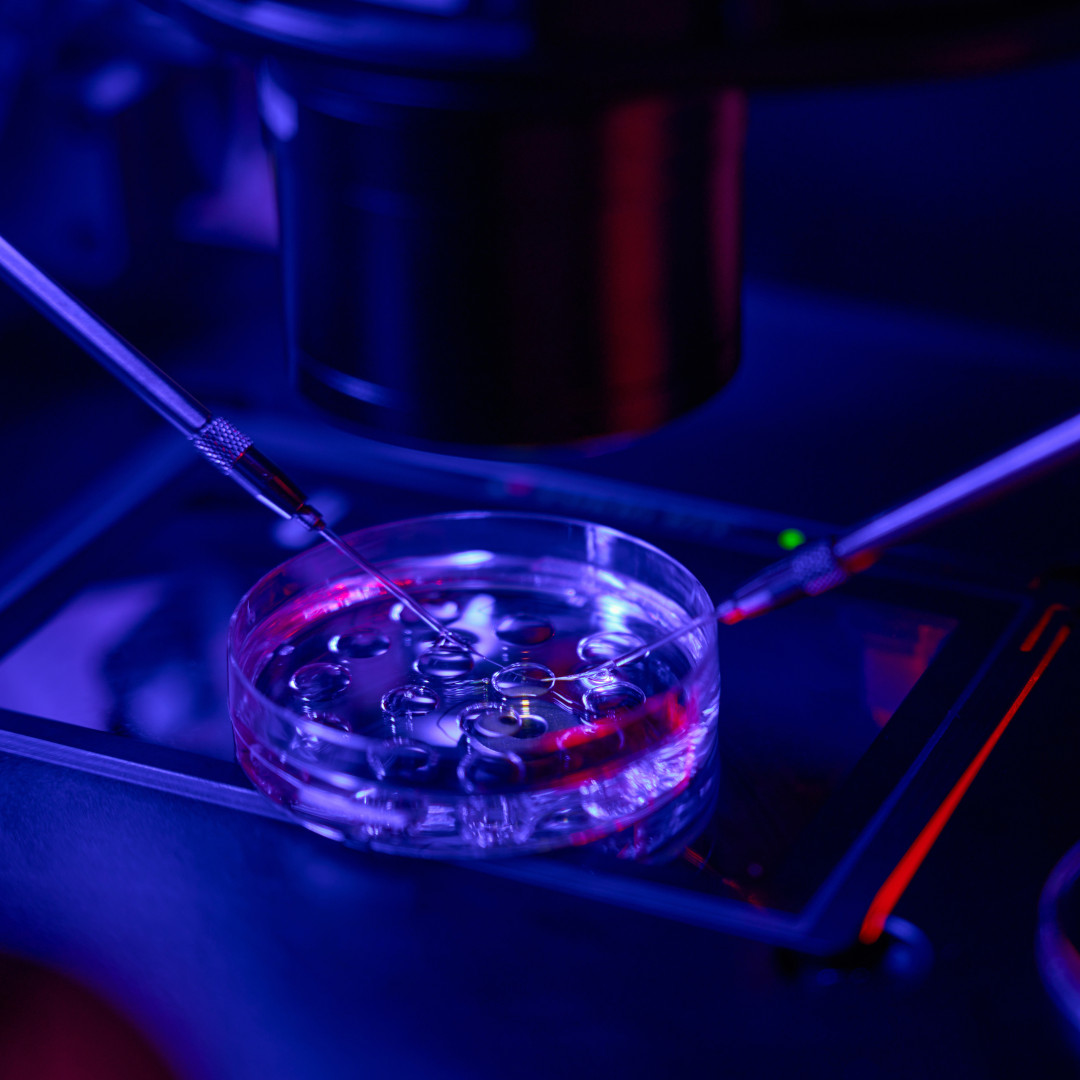 PMA Eterologa Verona - Clinica per la fertilità Omniclinics