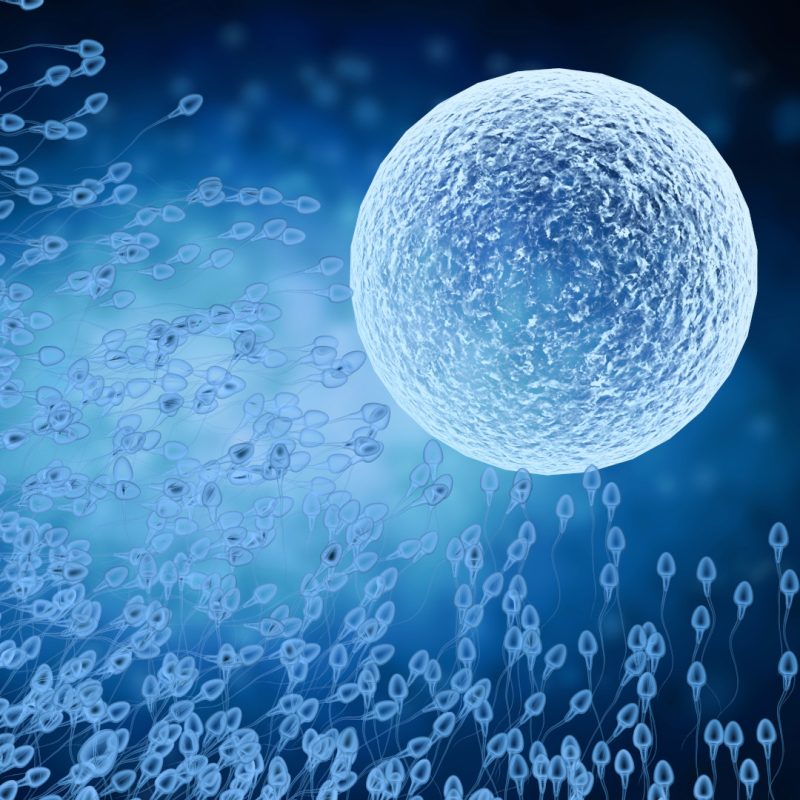 Congelamento del seme a Bologna - PMA Omniclinics