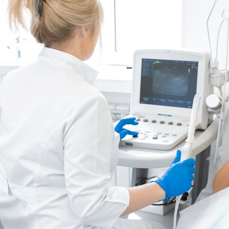 Ecografia ginecologica Bologna - Omniclinics