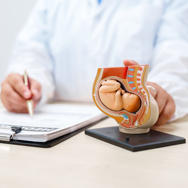 Esame per diagnosi Sindrome di Down e anomalie genetiche Bologna - Centro Medico Omniclinics
