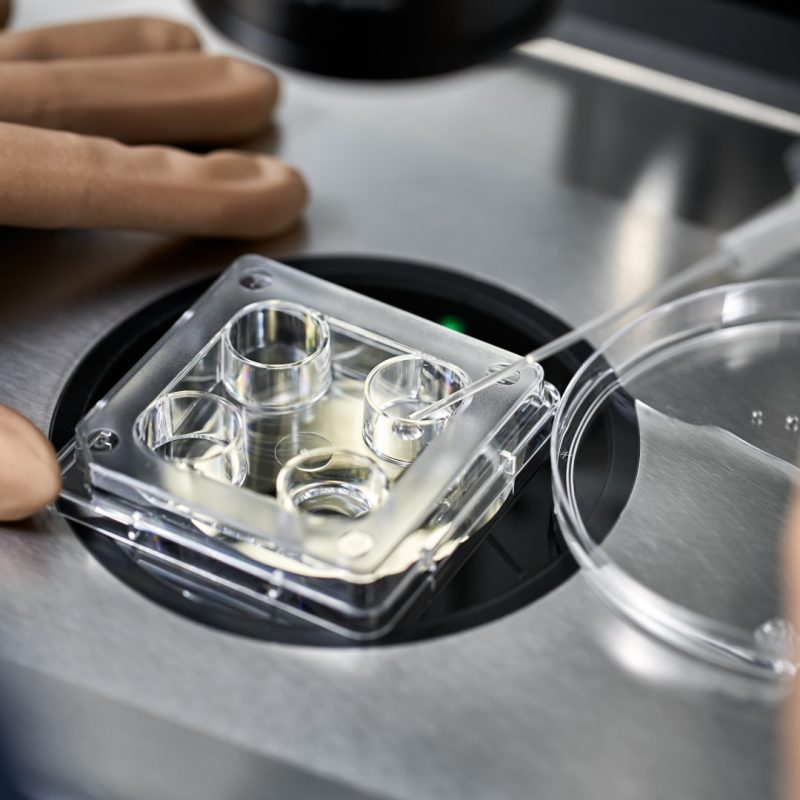 PMA Omologa di I e II Livello a Bologna con Omniclinics