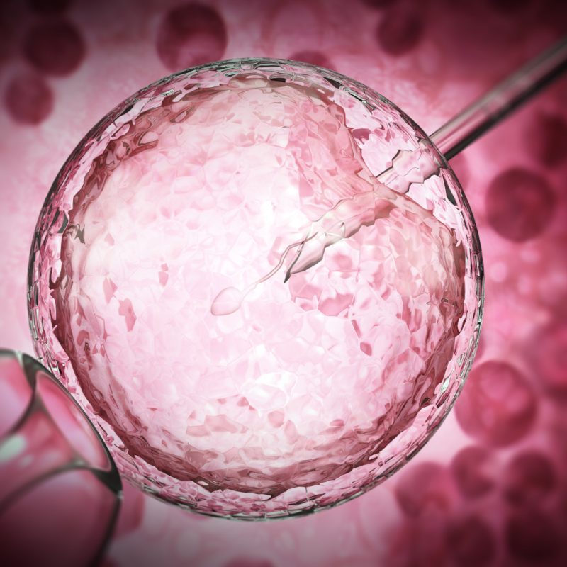 PMA Etrologa Verona con donazione di gameti - Clinica PMA Omniclinics