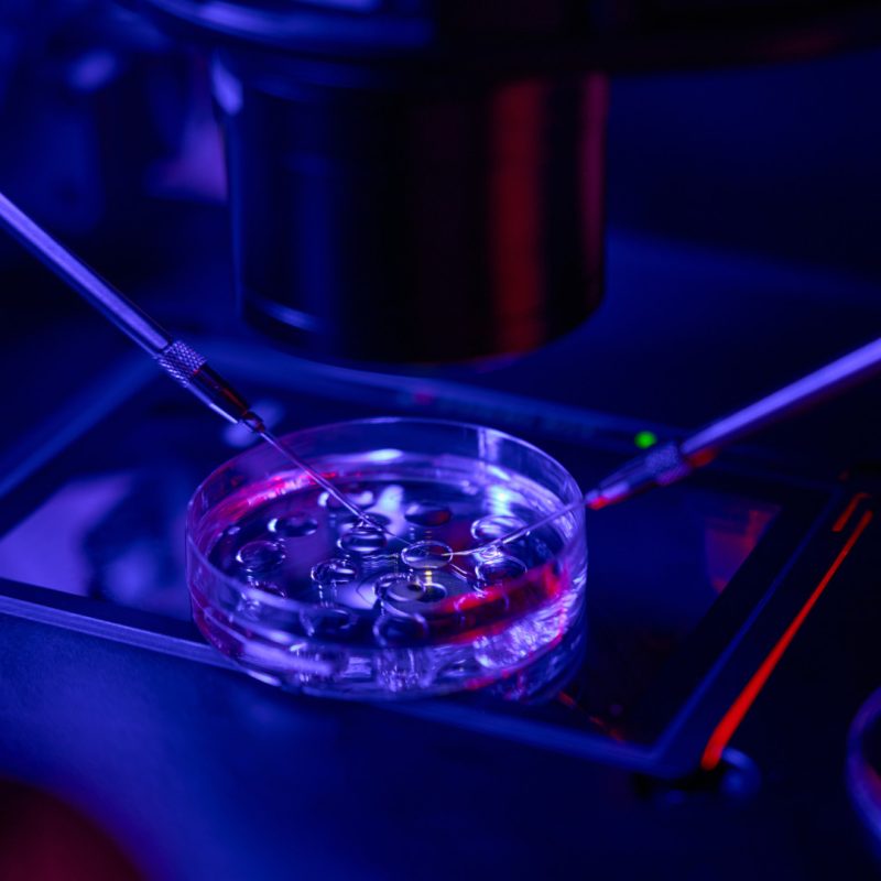 PMA Eterologa a Bologna - Clinica Fecondazione Assistita Omniclinics