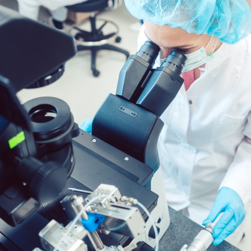 Fecondazione in vitro Verona - FIVET e ICSI - PMA Omologa Omniclinics