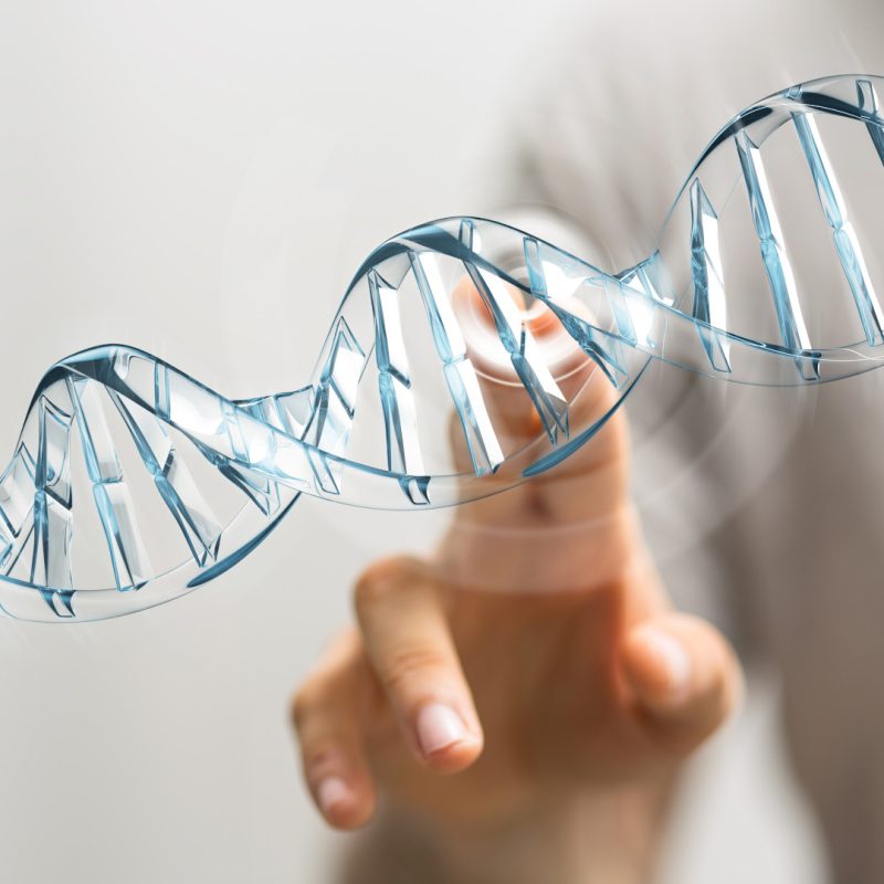 Test del DNA Fetale (NIPT) a Verona - Omniclinics