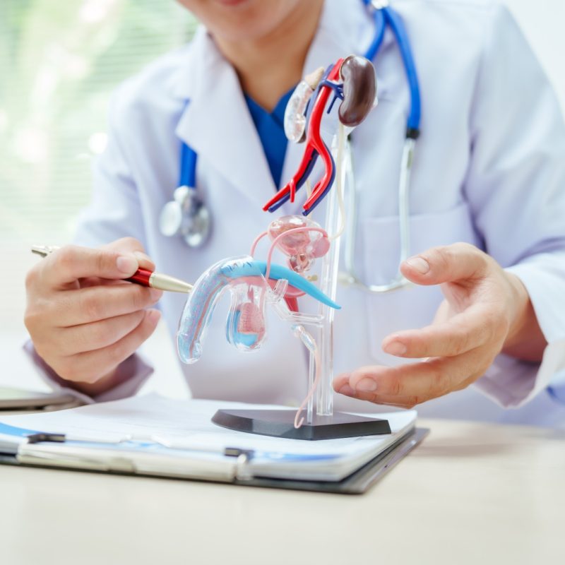 Visita andrologica per intervento frenuloplastica - Verona - Omniclinics