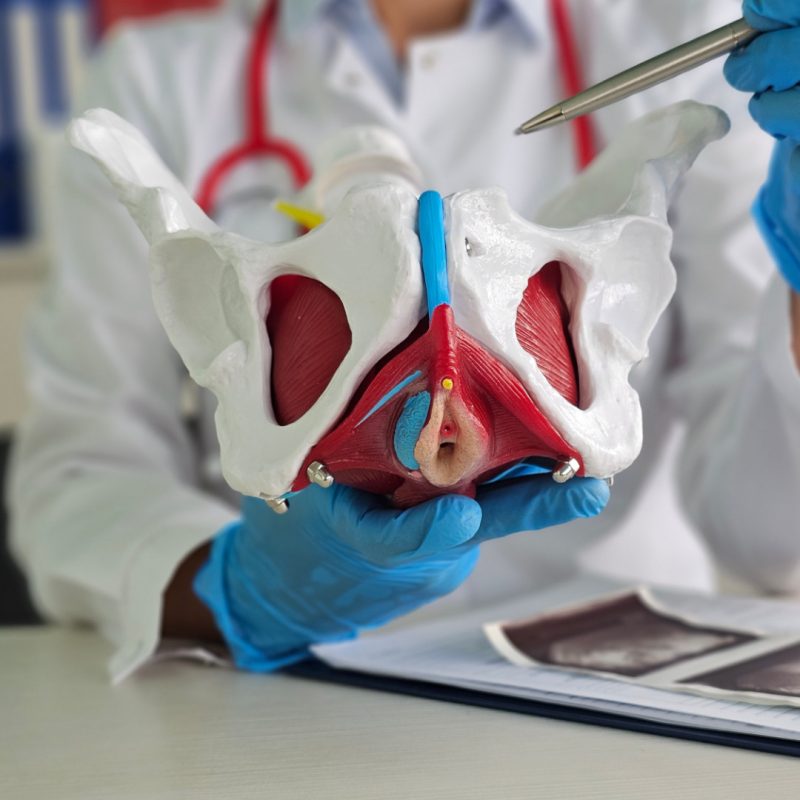 Visita proctologica donna a Bologna - Centro medico Omniclinics